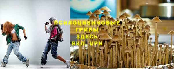 PSILOCYBIN Куйбышев